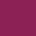 Nykaa Lips Don’t Lie! Matte Lip Liner -