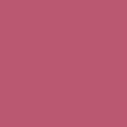 Nykaa Lips Don’t Lie! Matte Lip Liner -
