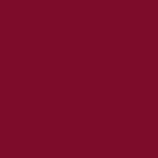 Nykaa Lips Don’t Lie! Matte Lip Liner -