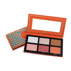 IMAGIC Comprehensive Facial Palette.