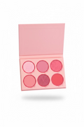 A hand holding an open six-pan blush palette with pink packaging and various shades of pink and rose blushes, set against a casual indoor background.