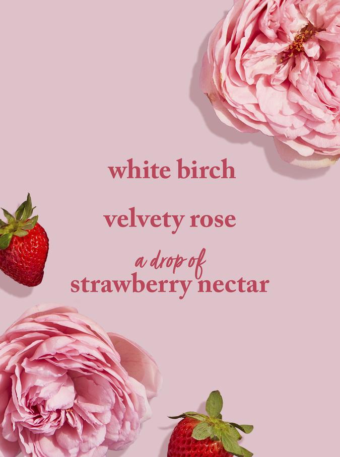 BATH & BODY WORKS You're The One Daily Nourishing Body Lotion