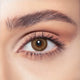 Almond Brown