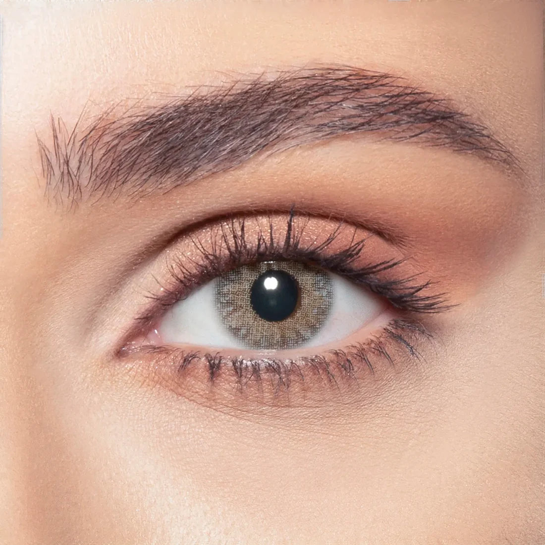 Bella - One Day Collection Color Contact Lens (10 Lens/Box)