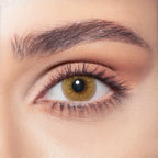 Bella - One Day Collection Color Contact Lens (10 Lens/Box)
