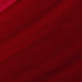 Crimson Velvet-021