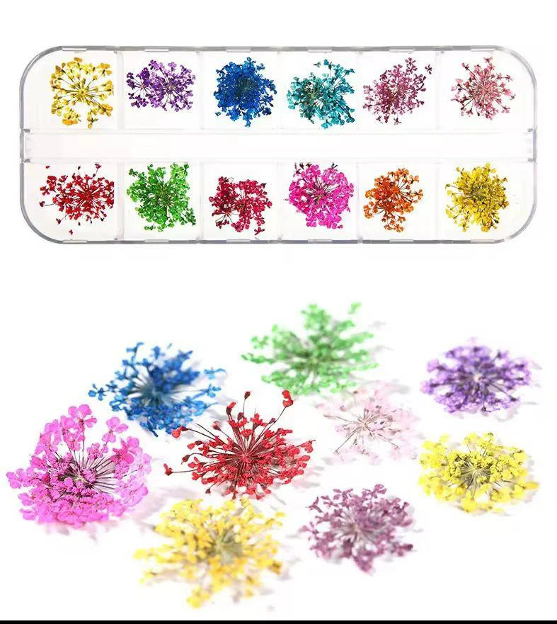 DRY FLOWER GRID FOR NAILS