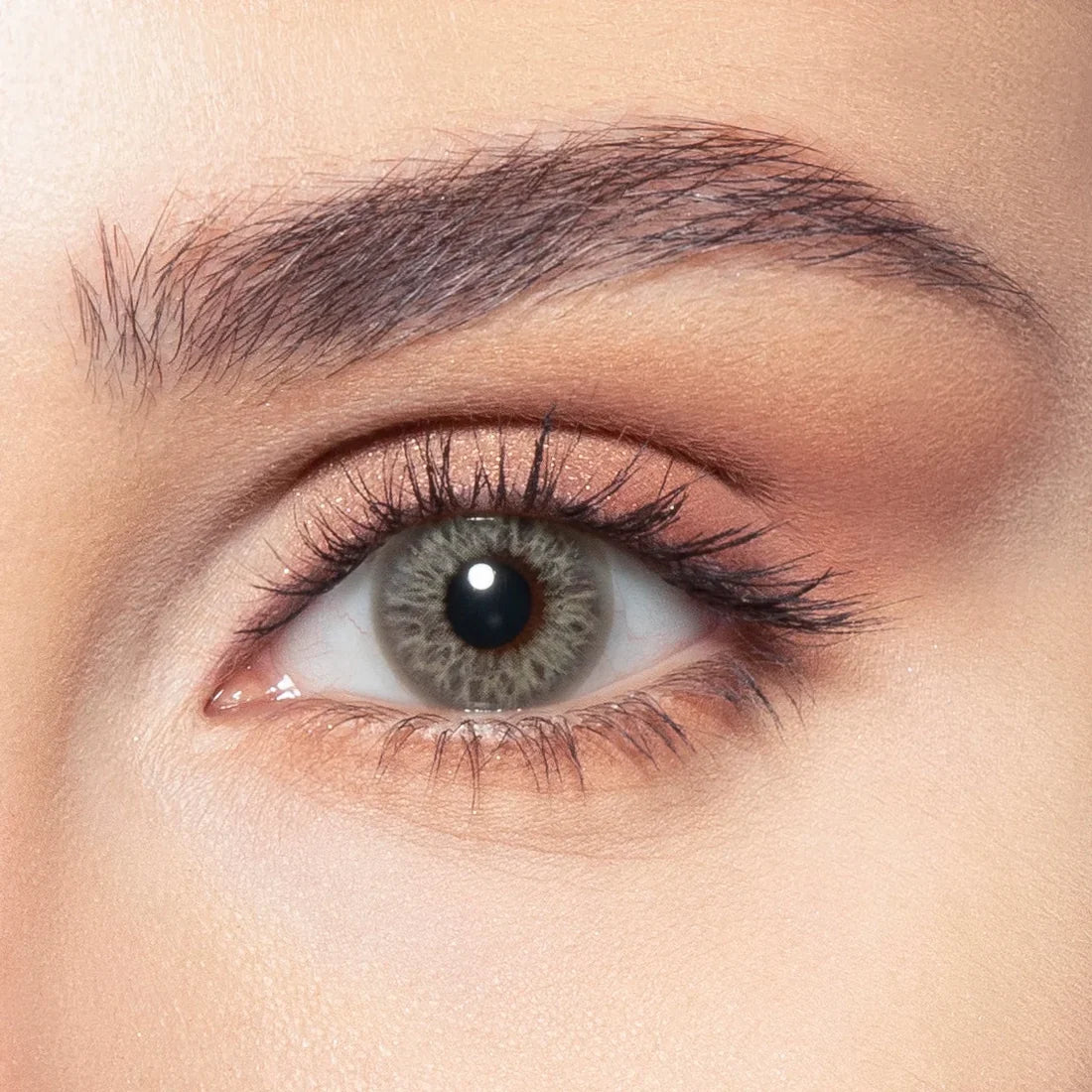 Bella - One Day Collection Color Contact Lens (10 Lens/Box)
