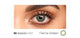 FL334 Fierce Green