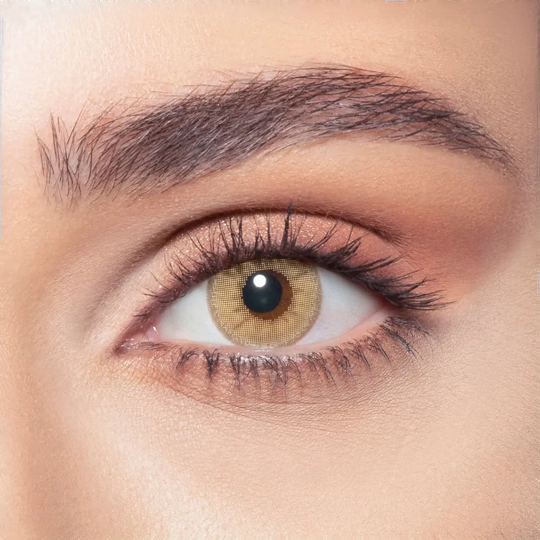 Bella - One Day Collection Color Contact Lens (10 Lens/Box)