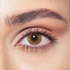 Bella - One Day Collection Color Contact Lens (10 Lens/Box)