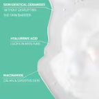 CeraVe Foaming Cleanser Face Wash For Oily Skin (236 ml)