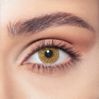 Bella - One Day Collection Color Contact Lens (10 Lens/Box)